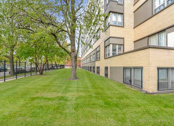A tree stands in the middle of a grassy area in front of a building. at Academy at Drexel Apartments, Illinois, 60637