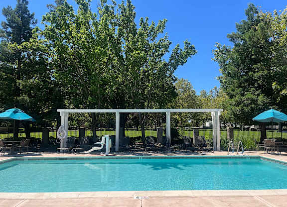 A pool surrounded by trees and a white pergola.