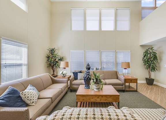 A living room with a tan couch, a coffee table, and a rug.