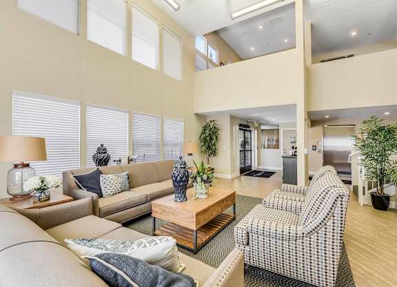 A living room with a couch, chair, and potted plant.