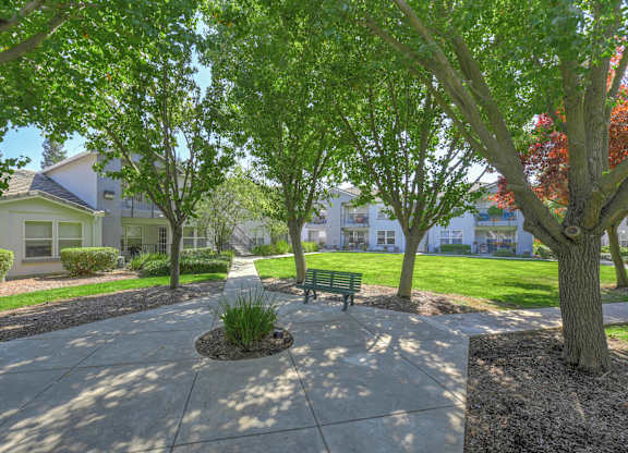 A tree-lined street with a bench in the middle.