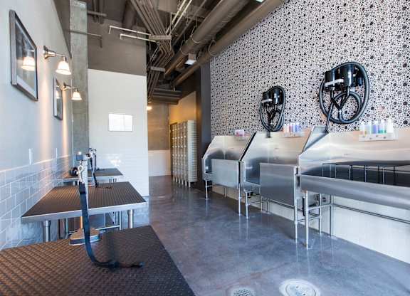 A room with a wallpapered wall and a row of beds at View Point Apartments, Berkeley, CA