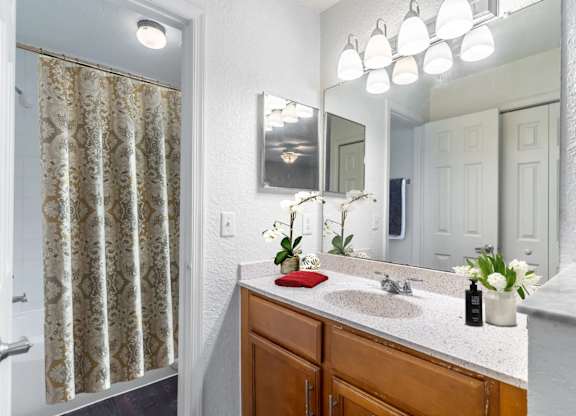 A bathroom with a sink, mirror, and a shower curtain at Academy on Dean Woods Apartments, Orlando, FL