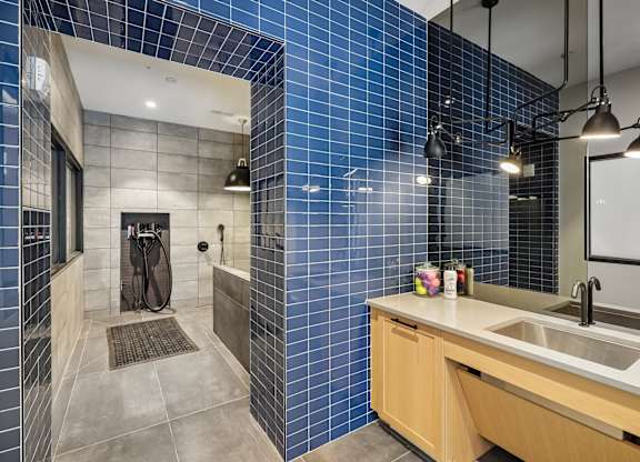 A modern bathroom with a blue tiled wall and a wooden vanity.