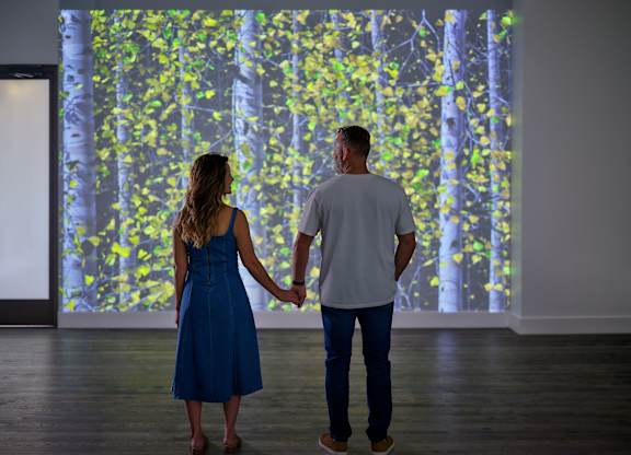 A man and a woman are holding hands and looking at a large projection of a forest.
