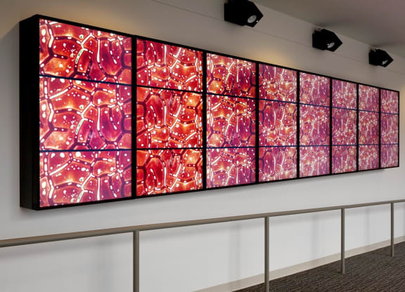 Art Gallery at CityWay, Indiana, 46204