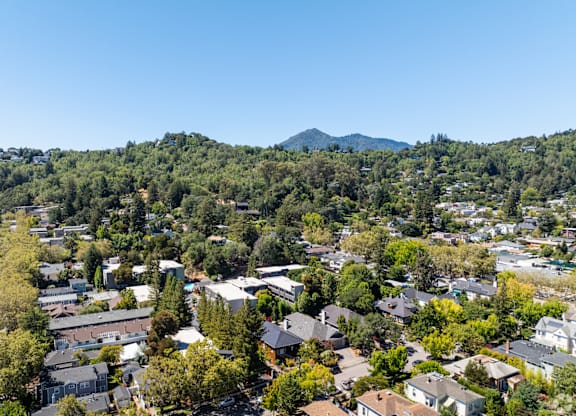 Aerial View of Residential Area at 215 Bayview Apartments, San Rafael, California