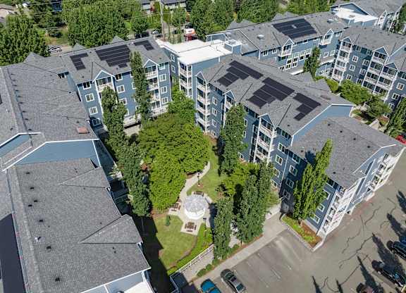 A large tree is in the center of a courtyard surrounded by apartment buildings.