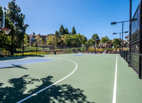 Sport Court at BELLA VISTA AT HILLTOP, Richmond