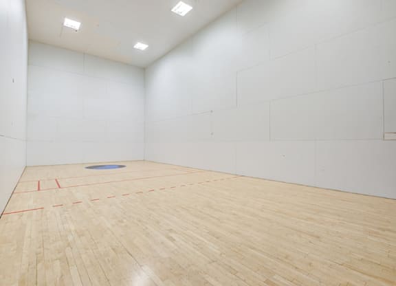 A squash court with a blue disc in the middle.
