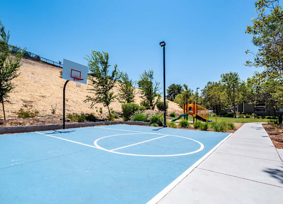 A basketball court with a blue surface and white lines, surrounded by trees and a hill in the background.