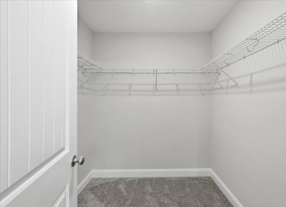 A white closet with a carpeted floor and a white door.
