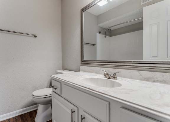 a bathroom with a sink and a toilet