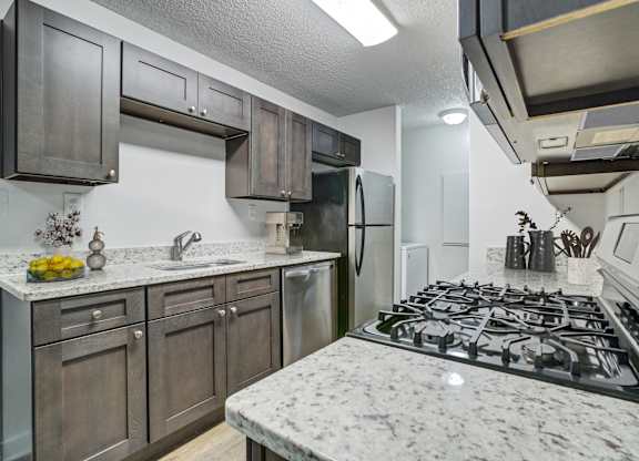 Renovated apartment kitchen with lots of cabinet space at Chelsea Apartments in Gainesville FL, pet-friendly community