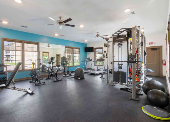 the gym has plenty of weights and cardio equipment and windows