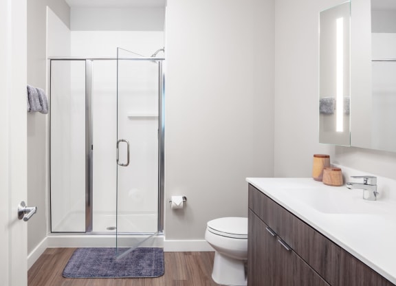 glass shower doors and quartz bathroom counters