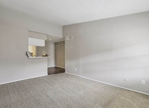 A room with a carpeted floor and a mirror on the wall.