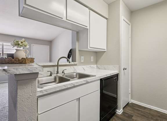 A kitchen with a white counter top and a black dishwasher.