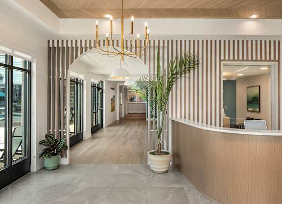 A reception area with a wooden reception desk and a large plant in a white pot.