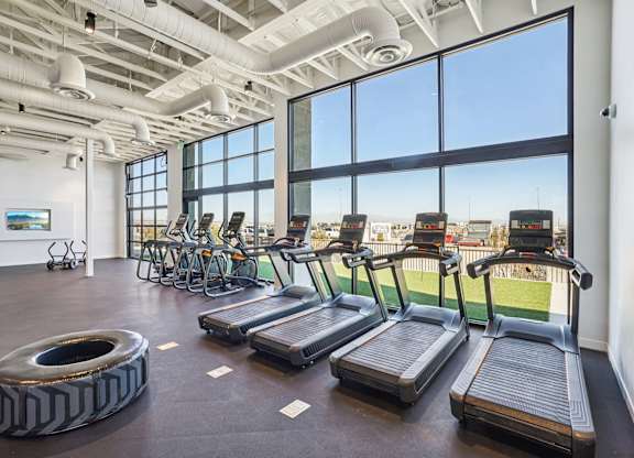 A gym with treadmills and exercise equipment.