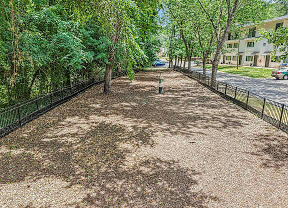 A tree-lined path with a black fence on either side.