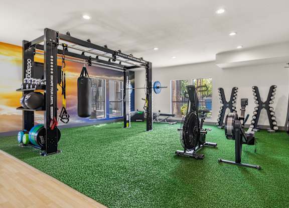 A gym with a green carpet and a variety of equipment.
