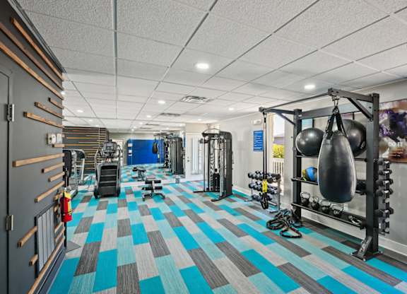 Well-equipped fitness center with treadmills, weights, and punching bag.