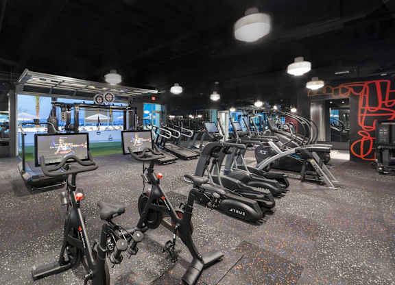 A gym with a row of stationary bikes.