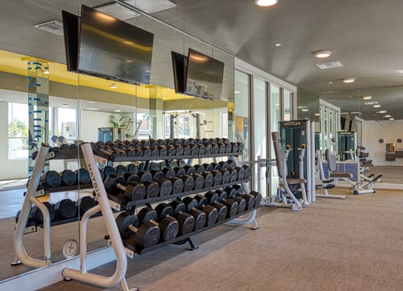 South Scottsdale Apartments - Lucent Scottsdale - fitness center with cardio and strength training equipment, dumbbells, TVs