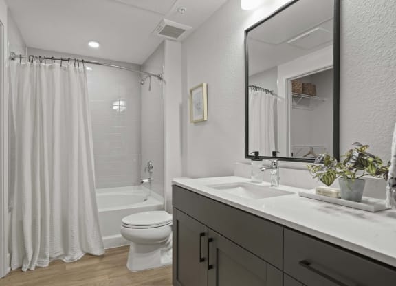 a bathroom with a sink and a toilet and a shower