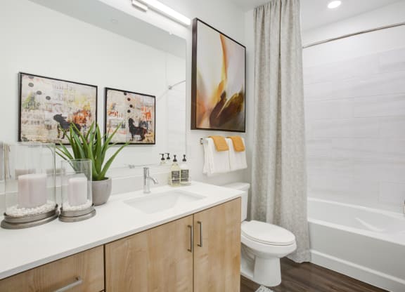 South Scottsdale Apartments - Lucent Scottsdale - Bathroom with Modern Cabinetry and Tub