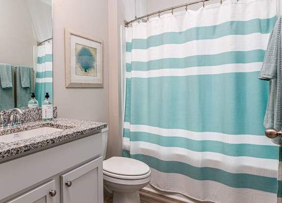 a bathroom with a blue and white shower curtain
