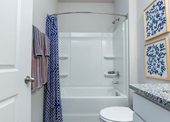 a bathroom with a bathtub and a toilet