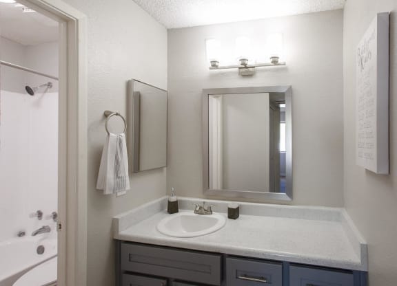 a bathroom with a sink and a mirror and a shower