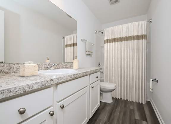 Pet Friendly Homes in Ruskin, FL - Ruskin Reserve - Luxury bathroom with vanity and wood style flooring