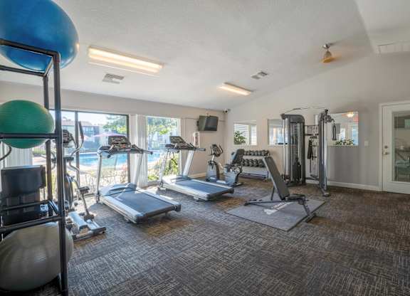 Fitness center at Belara Lakes apartments in Tampa, Florida
