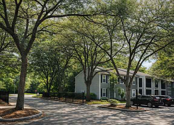 Tree-lined community grounds at Chelsea Apartments in Gainesville, Florida