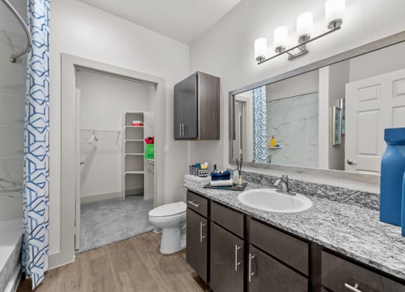 a bathroom with a sink and a toilet and a mirror