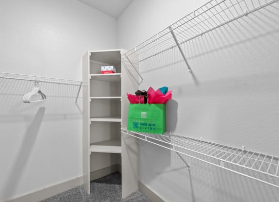 the closeness of the closet in a small room with shelves and a green bag