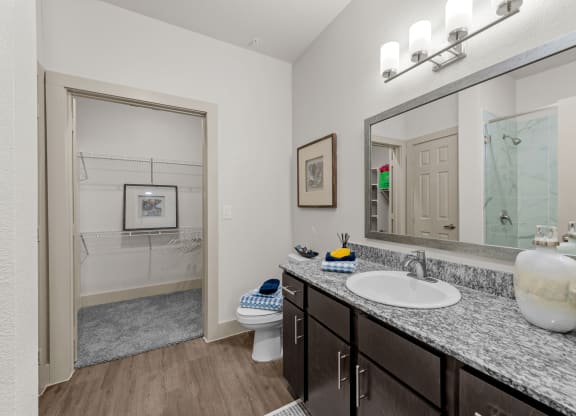 a bathroom with a large mirror and a sink and a toilet