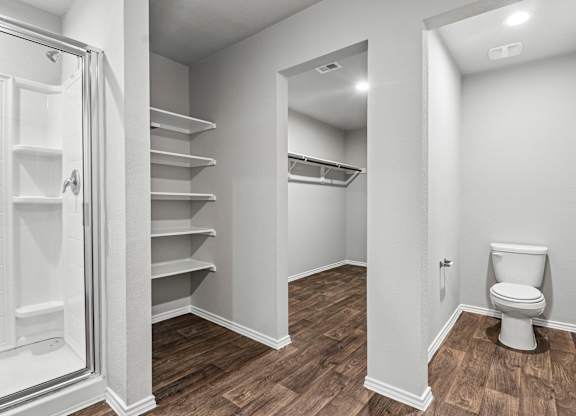 A white bathroom with a toilet and a walk-in closet.