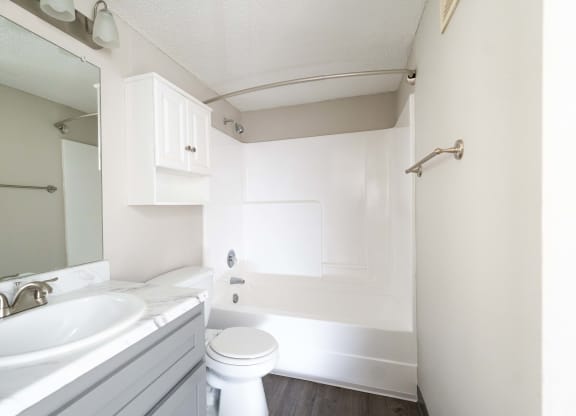 a bathroom with a sink and a toilet and a mirror