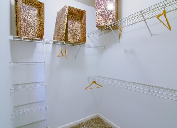 Enclave at Wolfchase Apartments in Cordova Tennessee photo of a walk in closet with white walls and white shelves