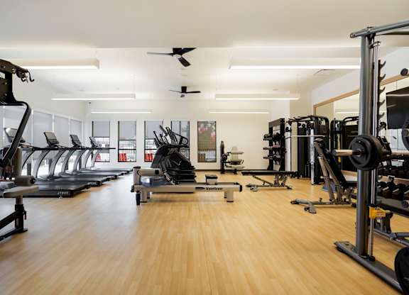A gym with a variety of equipment including treadmills, weights, and benches.