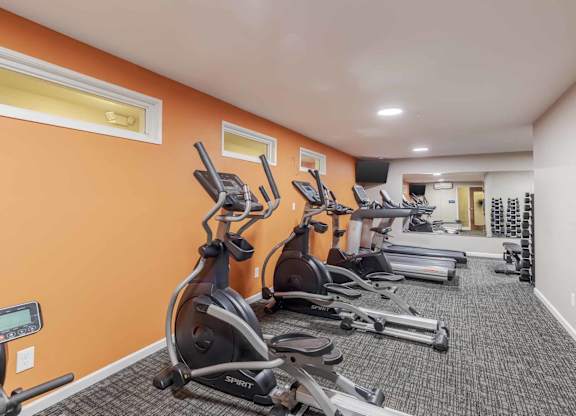 A gym with orange walls and a row of treadmills.
