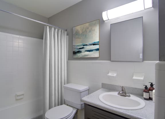 Estuary Apartments in Atlanta Georgia 30341 photo of bathroom with modern lighting