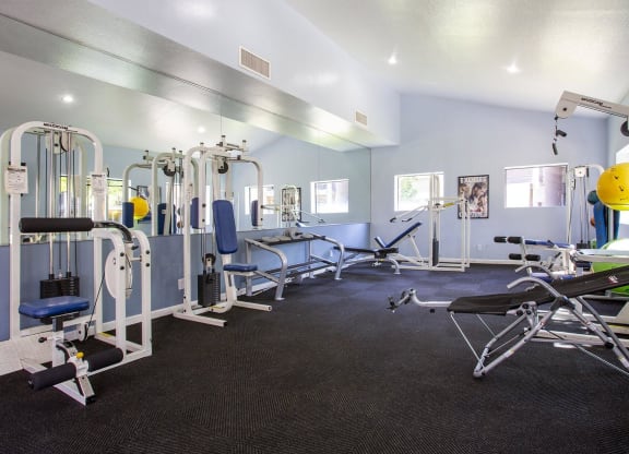 a gym with weights and cardio equipment at the preserve at greatstone