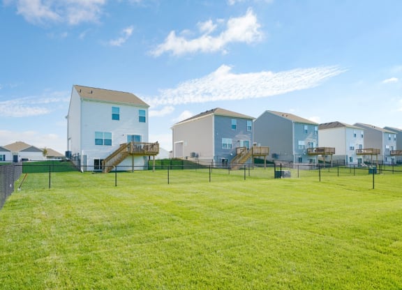 a group of houses in a fenced in yard