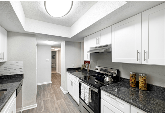 Kitchen with ample cabinet space and stainless steel appliances at Springdale Glen, a pet-friendly community in Clarkston, GA, near Decatur.