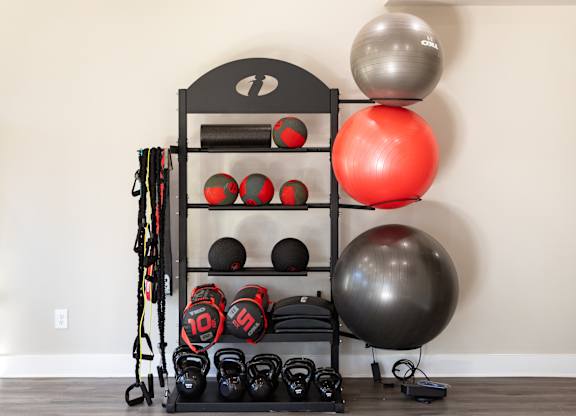 A black rack with red and black kettlebells and a silver ball on it.